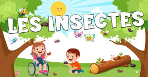 Vocabulario de los insectos en francés
