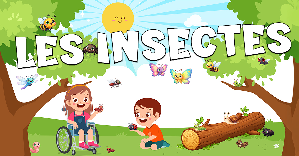 Vocabulario de los insectos en francés