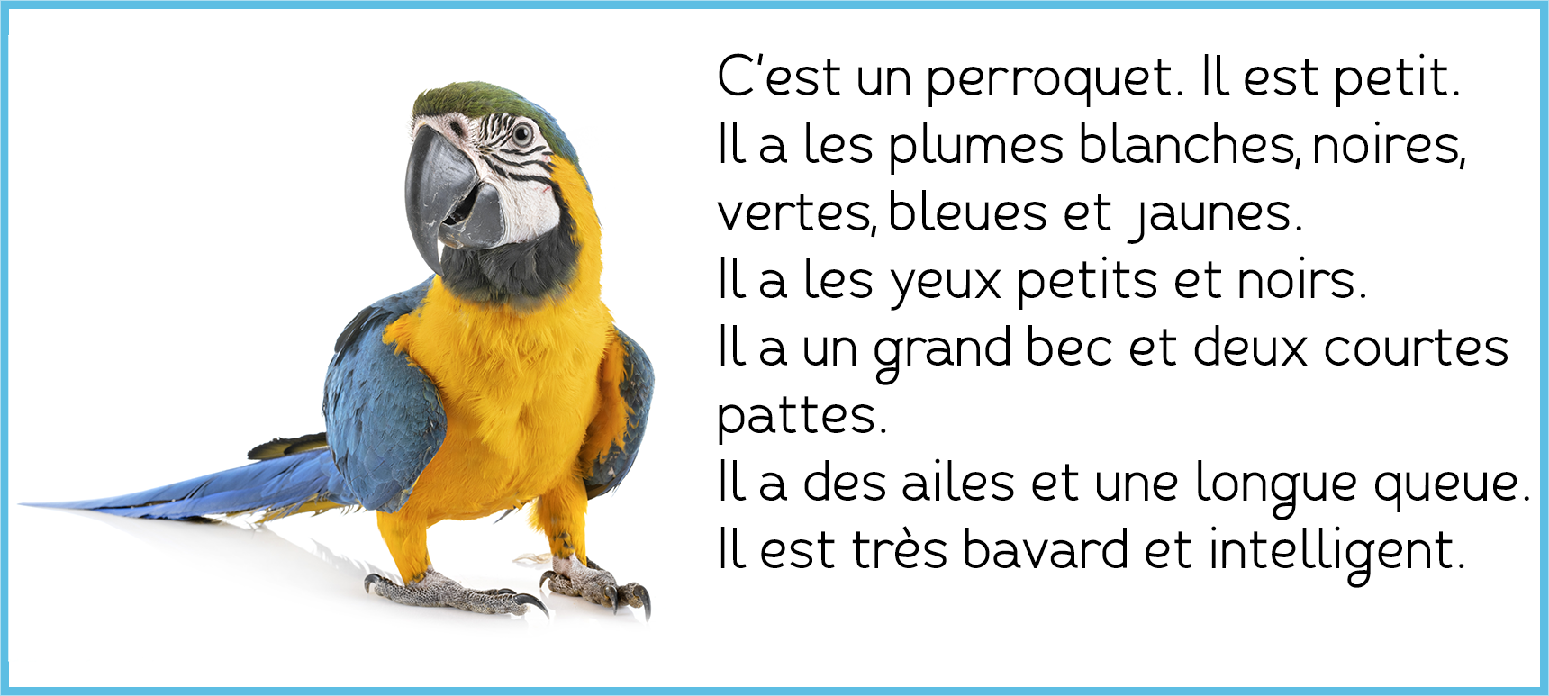 http://xn--petitmondefranais-nsb.com/la-description-des-animaux/