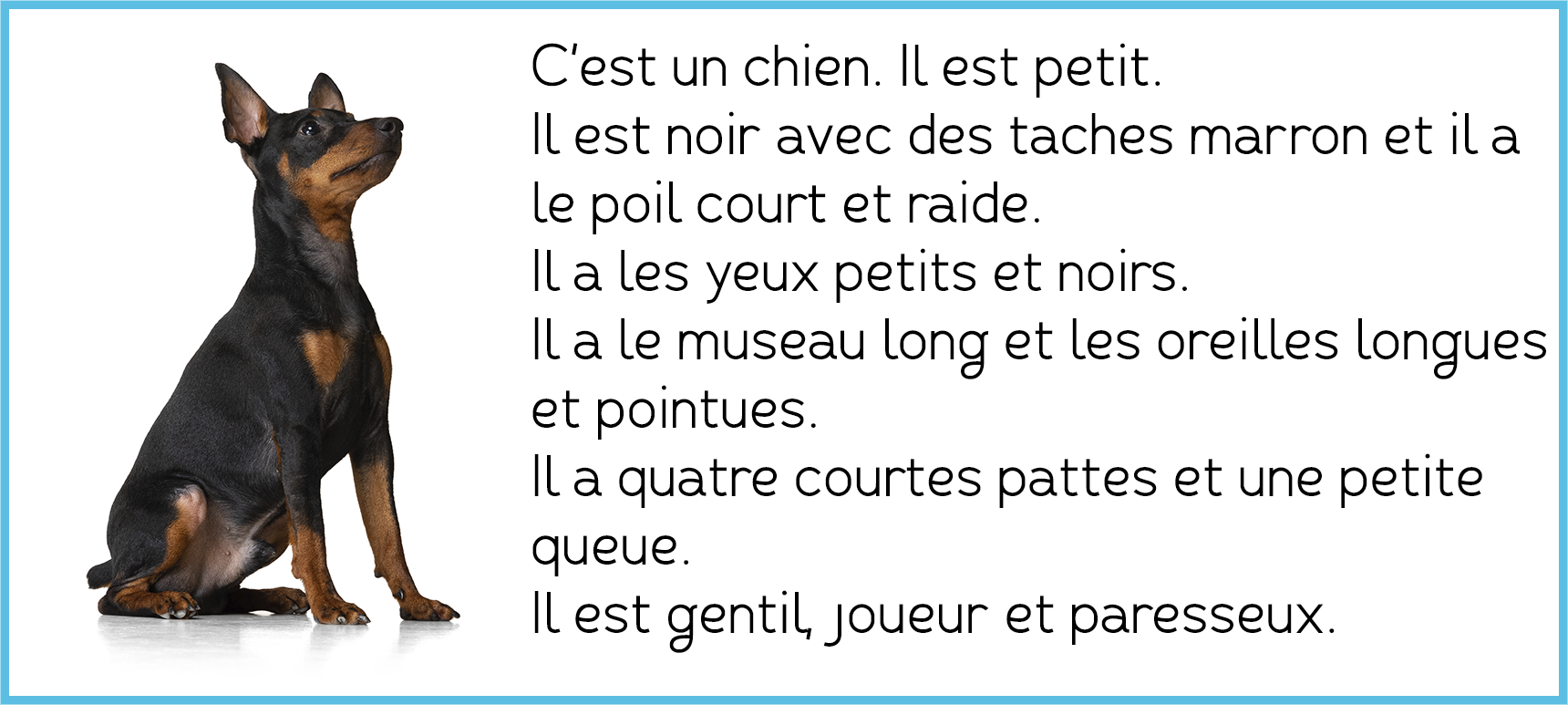 Descripción perro Peques Français