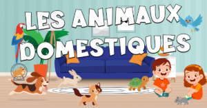 Vocabulario de los animales domésticos en francés