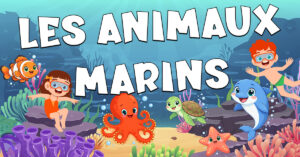Vocabulario de los animales marinos en francés con Petit Monde Français