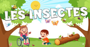 Vocabulario de los insectos en francés