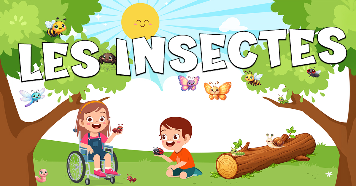Vocabulario de los insectos en francés