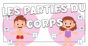 Las partes del cuerpo y de la cara en francés
